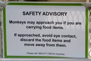 Pericolo scimmie