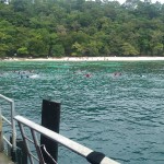 Snorkeling sull'isola Payar